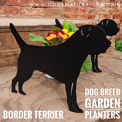 Border Terrier Garden Planter